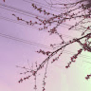 Meet your Posher, Adriana